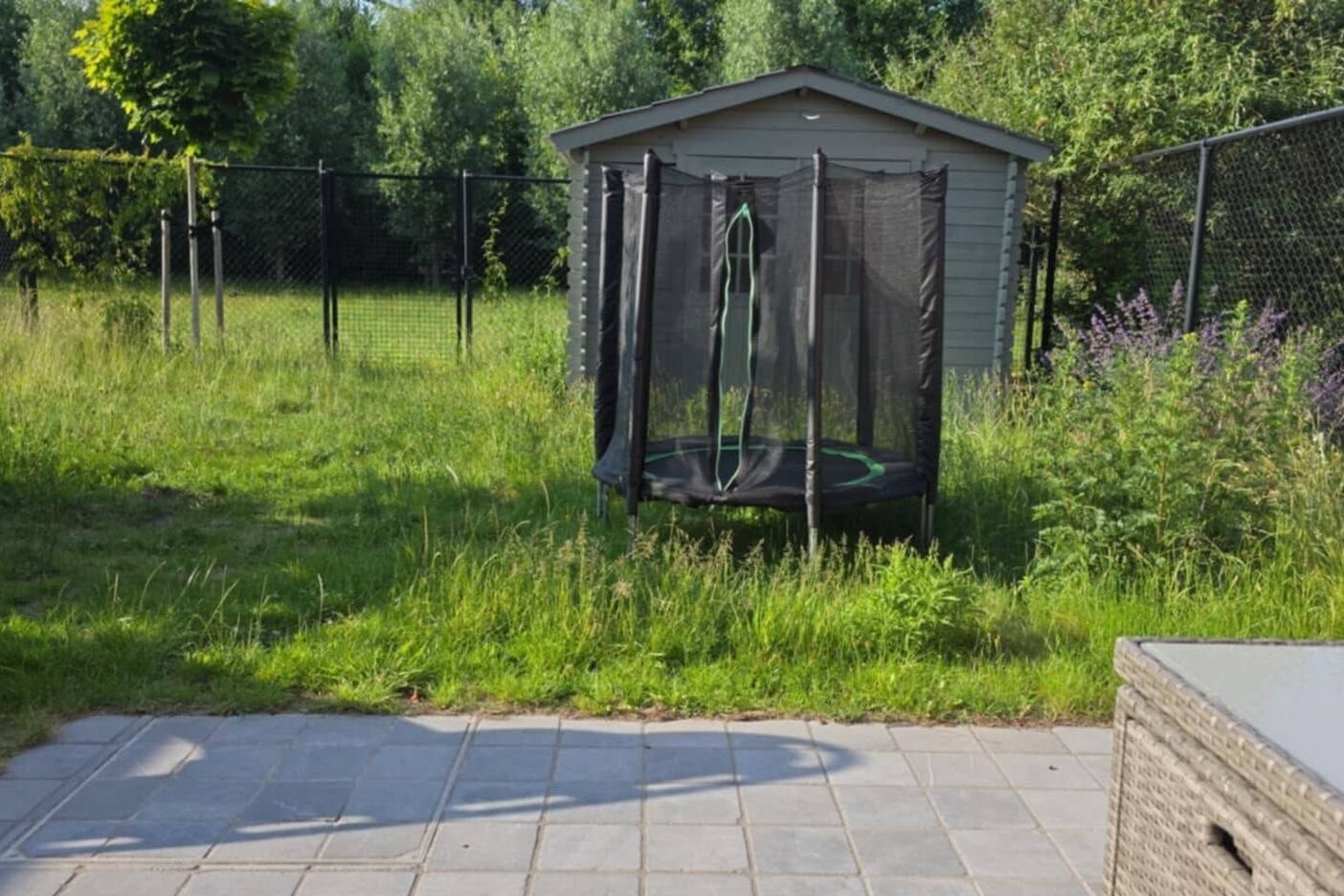 Verwilderde tuin met hoog gras, een trampoline en een tuinhuis achter een draadafsluiting